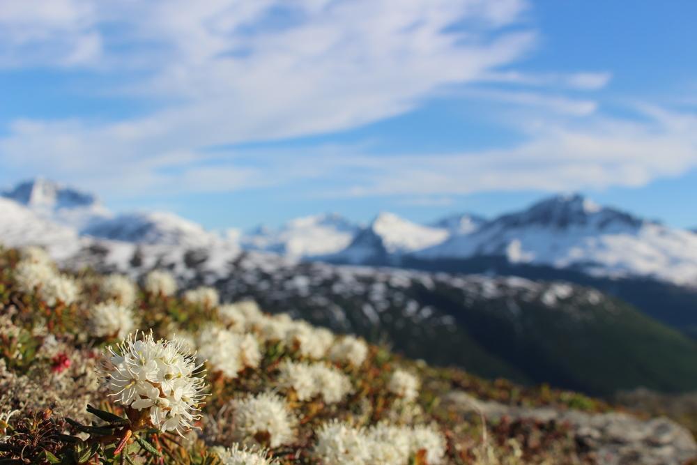 Glacier Hotel فالديز المظهر الخارجي الصورة